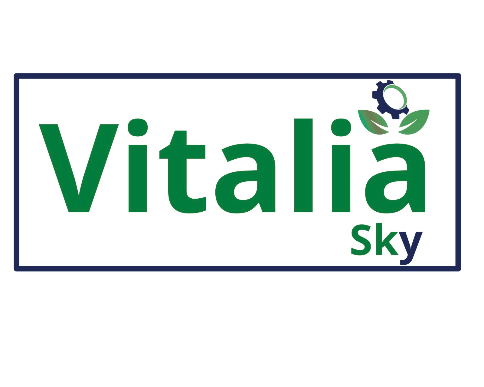 Vitaliasky Logo - Services Environnementaux